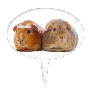 guinea pig cake topper