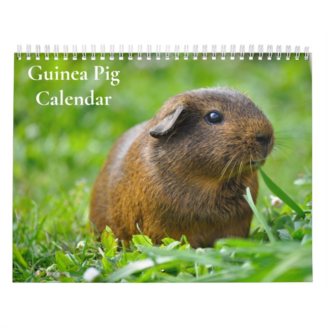 Guinea Pig Calendar 2026 (Cover)