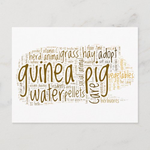 Guinea Pig Care Tips Word Cloud Postcard