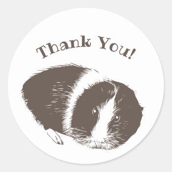 Guinea Pig Cavy Thank You  Classic Round Sticker by fotoplus at Zazzle