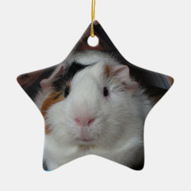 Guinea pig ceramic ornament (Front)