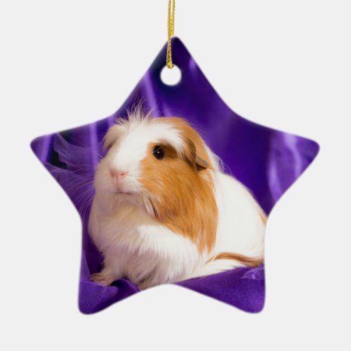 guinea pig ceramic ornament