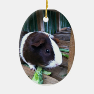 guinea pig ceramic ornament