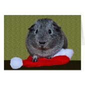 Guinea Pig Christmas (Front Horizontal)