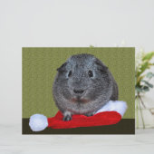 Guinea Pig Christmas (Standing Front)