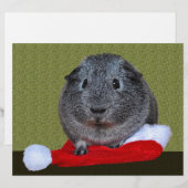 Guinea Pig Christmas (Front/Back)