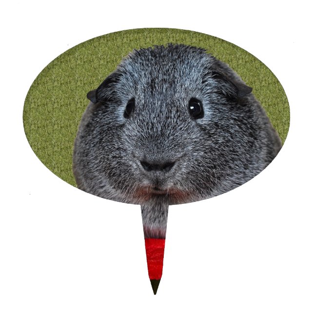 Guinea Pig Christmas Cake Topper (Front)