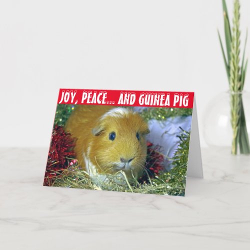 Guinea pig Christmas Card