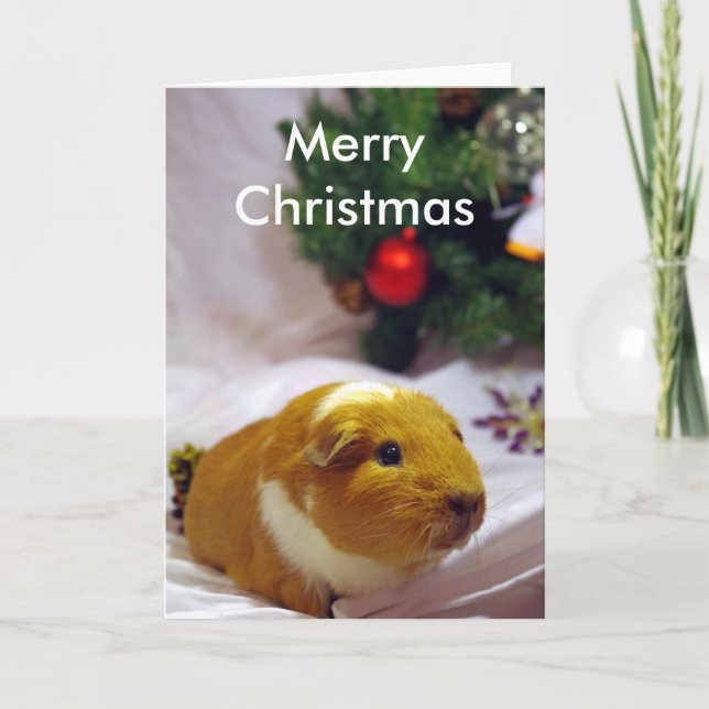 Guinea pig Christmas Card (Front)