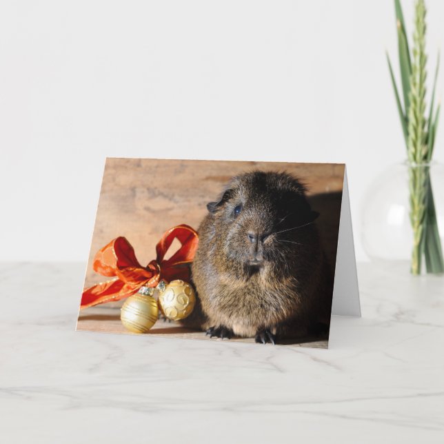 Guinea Pig Christmas Card (Front)