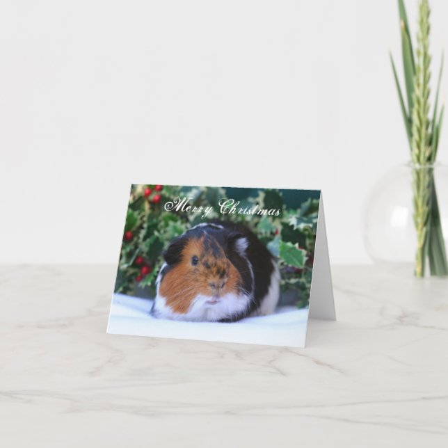 Guinea Pig Christmas Card (Front)
