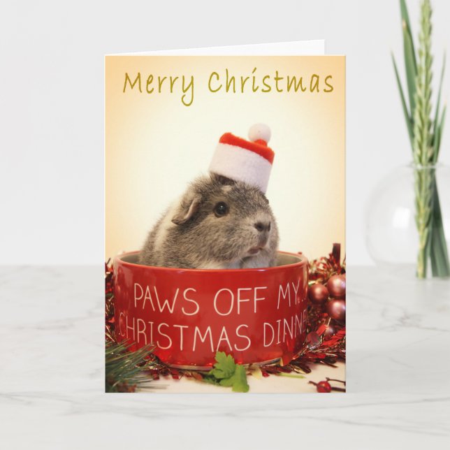 Guinea Pig Christmas Card (Front)