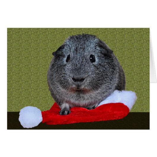 Guinea Pig Christmas Cards (Front Horizontal)