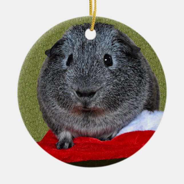 Guinea Pig Christmas Ceramic Ornament (Front)