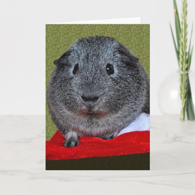 Guinea Pig Christmas Holiday Card (Front)