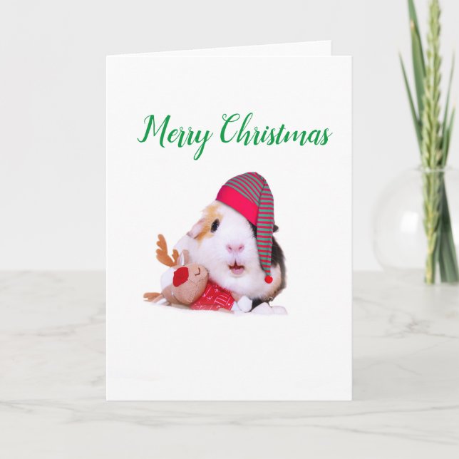 Guinea Pig Christmas Holiday Card (Front)