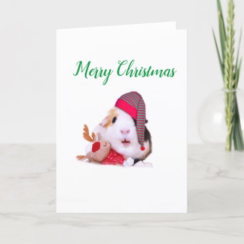 Guinea Pig Christmas Holiday Card