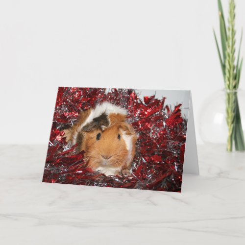 Guinea Pig Christmas Holiday Card