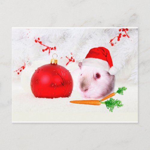 Guinea Pig Christmas Holiday Postcard