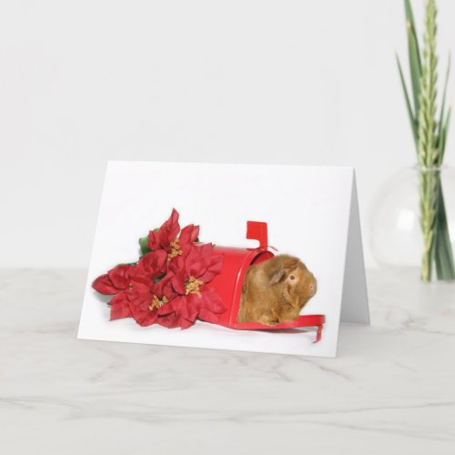 Guinea Pig Christmas mail Holiday Card