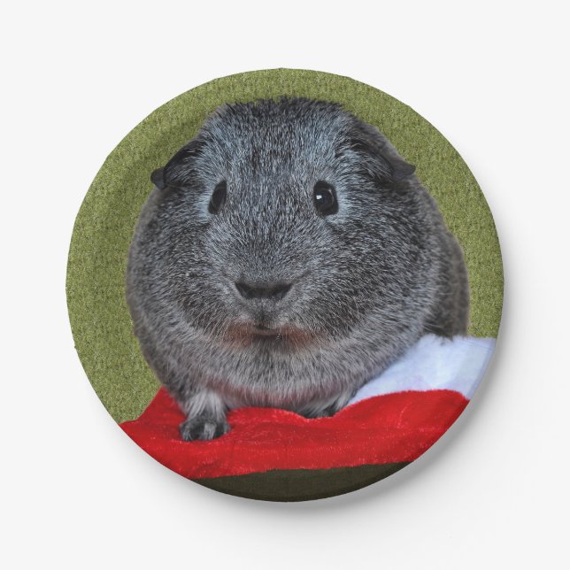 Guinea Pig Christmas Paper Plates (Front)
