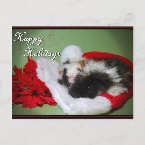 Guinea Pig Christmas Photo Card
