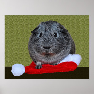Guinea Pig Christmas Poster