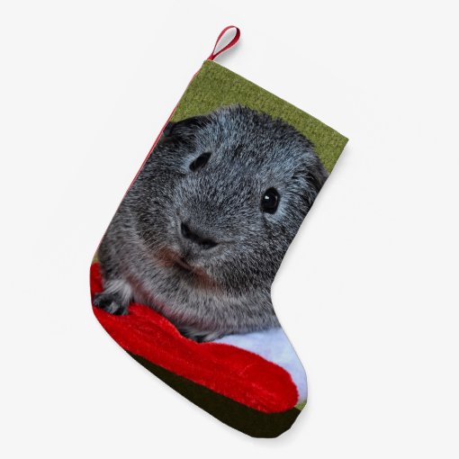 Guinea Pig Christmas Small Christmas Stocking Zazzle