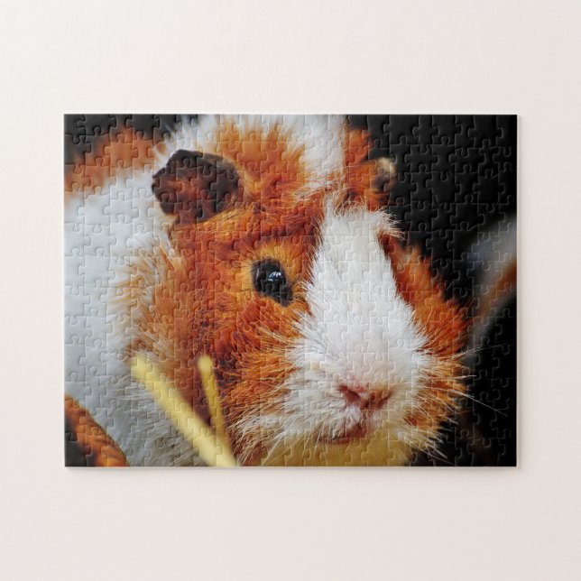 Guinea Pig Close Up, Jigsaw Puzzle (Horizontal)