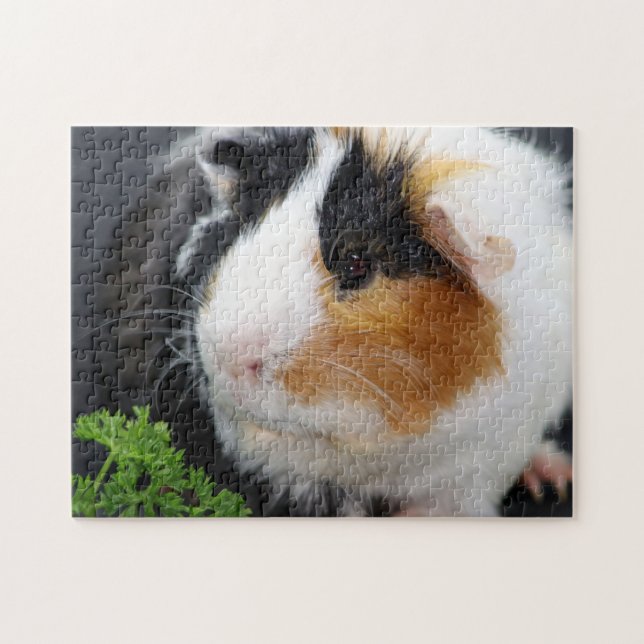 Guinea Pig Close Up, Jigsaw Puzzle (Horizontal)