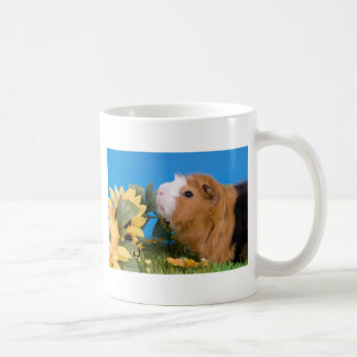 guinea pig coffee mug