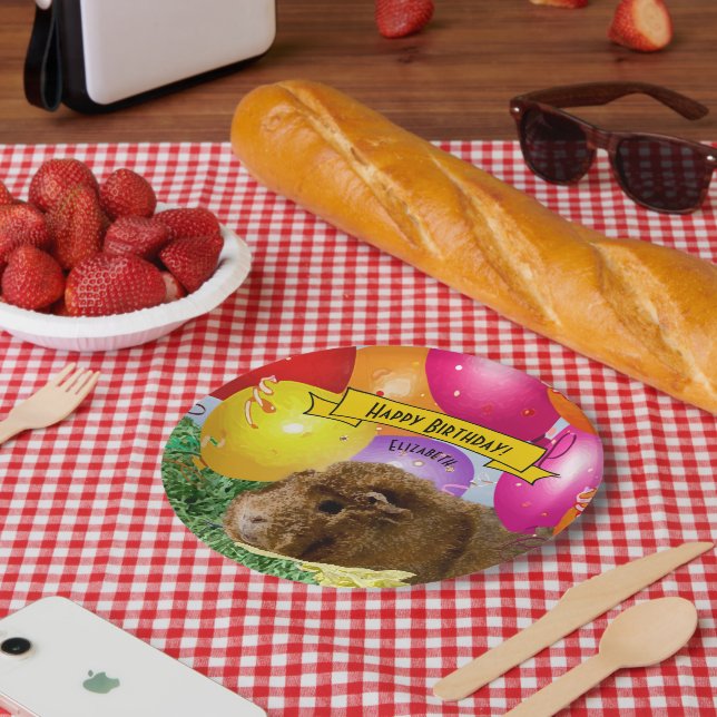Guinea Pig Colorful Balloons Custom Party Paper Plates (Picnic)