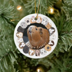 Guinea Pig Customizable Ceramic Ornament