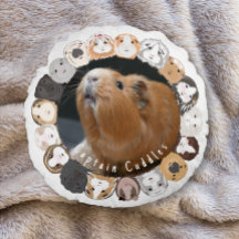 Guinea Pig Customizable