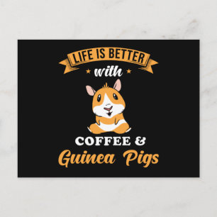 Guinea Pig Cute Postcard