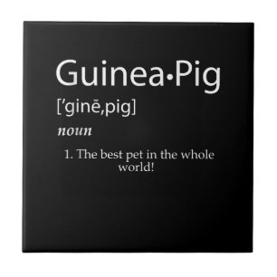 Guinea Pig Definition - Best Pet For Kids Ceramic Tile
