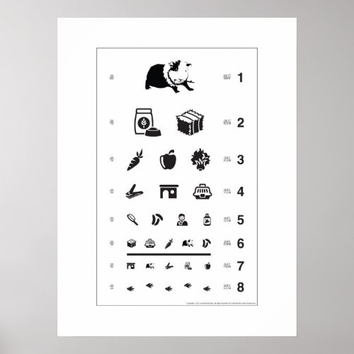 Guinea Pig Eye Chart