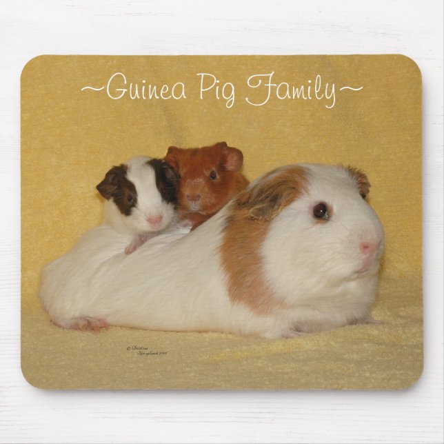 Guinea Pig Family Mousepad (Front)