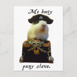Guinea Pig Funny Pirate Postcard at Zazzle