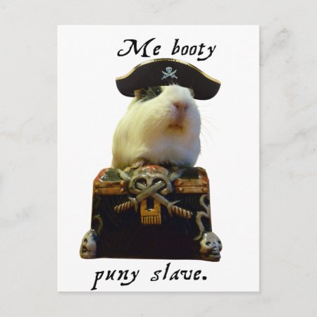 Guinea Pig Funny Pirate Postcard