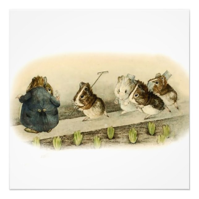 “Guinea Pig Garden” by Beatrix Potter Photo Print (Front)
