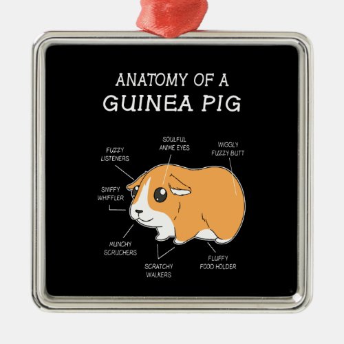 Guinea Pig Gift  Anatomy Of A Guinea Pig Metal Ornament