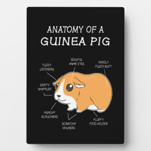 Guinea Pig Gift Anatomy Of A Guinea Pig Plaque