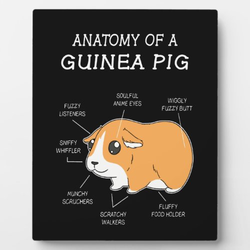 Guinea Pig Gift  Anatomy Of A Guinea Pig Plaque