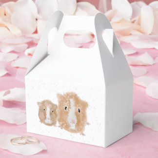 Guinea Pig Gift Box