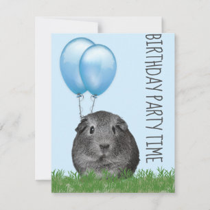 Guinea Pig Girly Blue Balloon Custom Birthday Invitation
