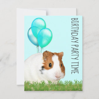 Guinea Pig Green Blue Balloons Custom Birthday  Invitation