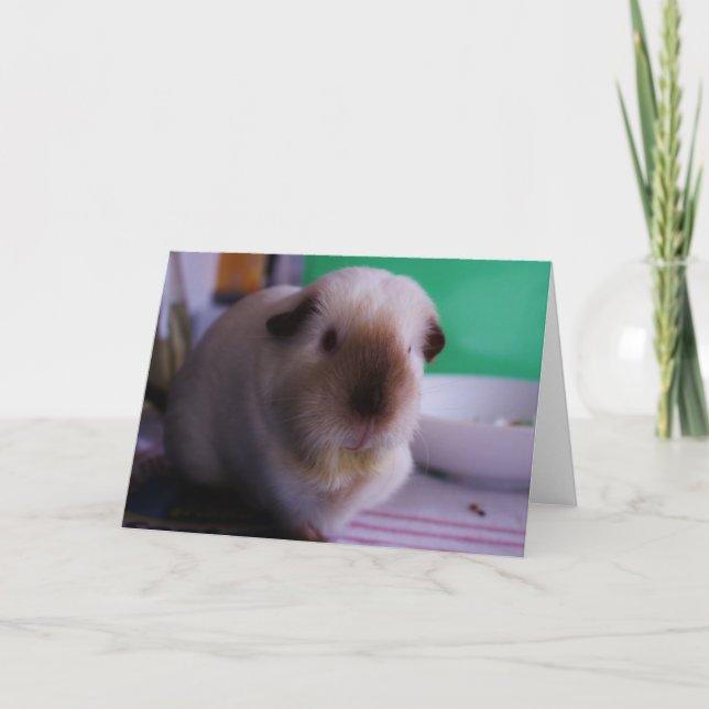 Guinea Pig Greeting Card (Front)