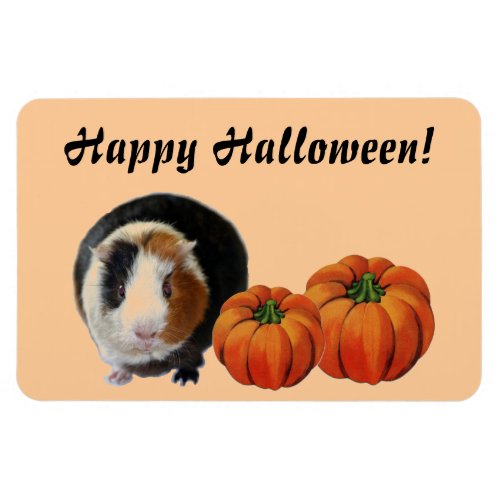 Guinea Pig Halloween Magnet
