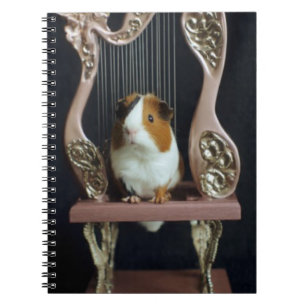 Guinea Pig Harp Notebook – Whimsical Storybook